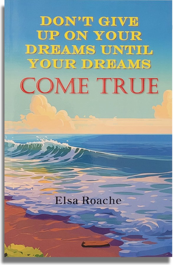 Cover of Don't Give Up On Your Dreams Until Your Dreams Come True by Elsa Roache.